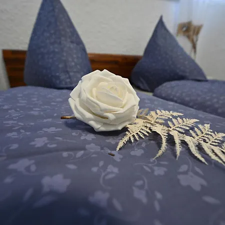 Nr 011 In Tossens * Butjadingen